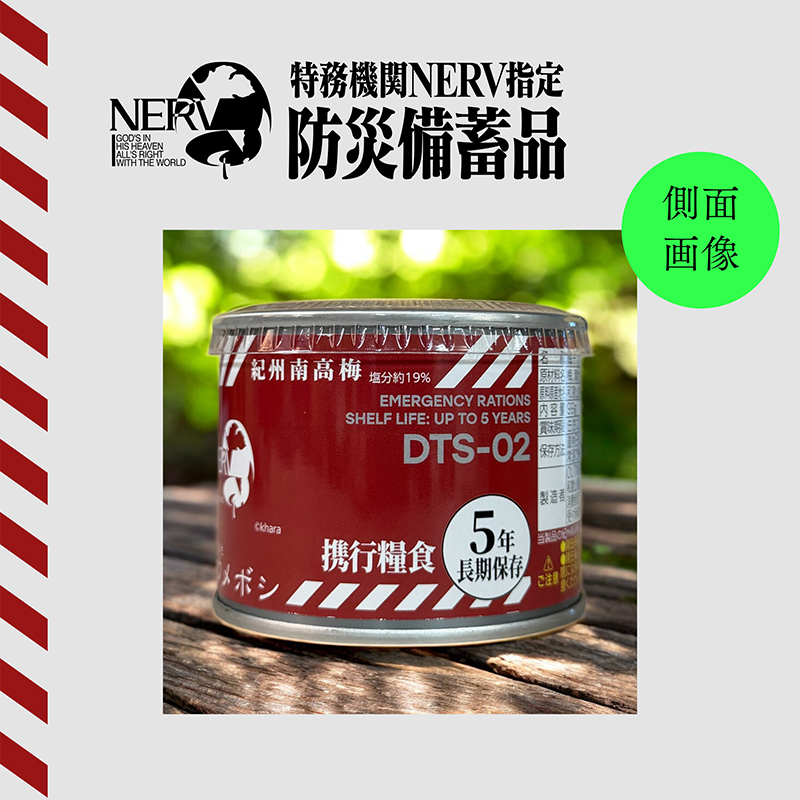 特務機関NERV指定 どんなときも99ウメボシ 6個入りBOX(永岡食品)