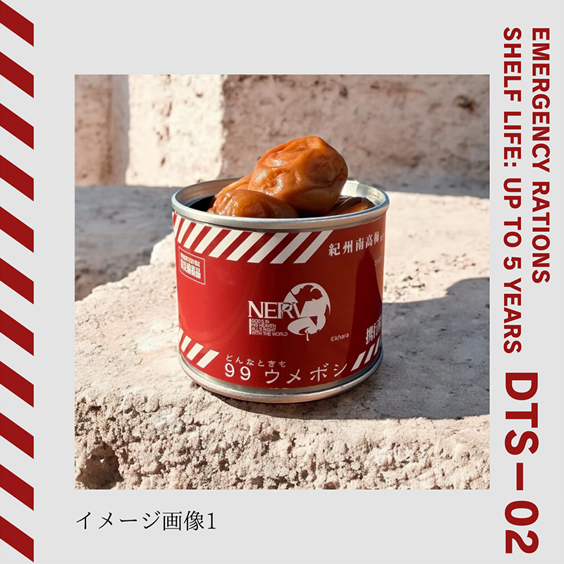 特務機関NERV指定 どんなときも99ウメボシ 6個入りBOX(永岡食品)