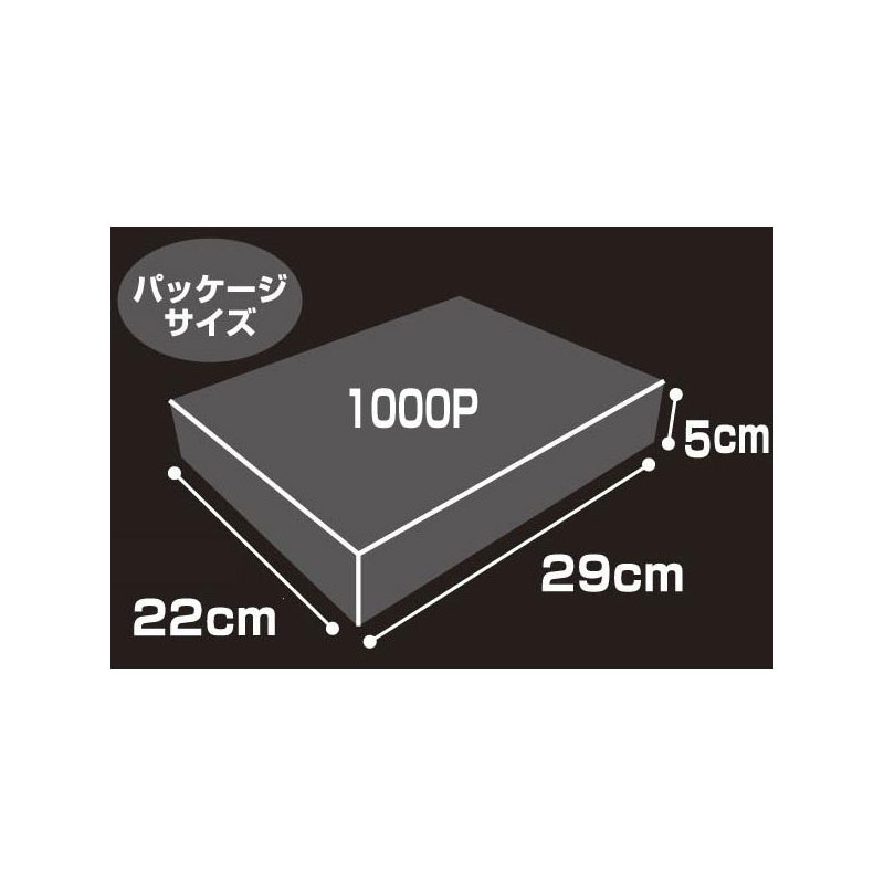 EVA STORE オリジナルジグソーパズル RADIO EVA Illustration 09