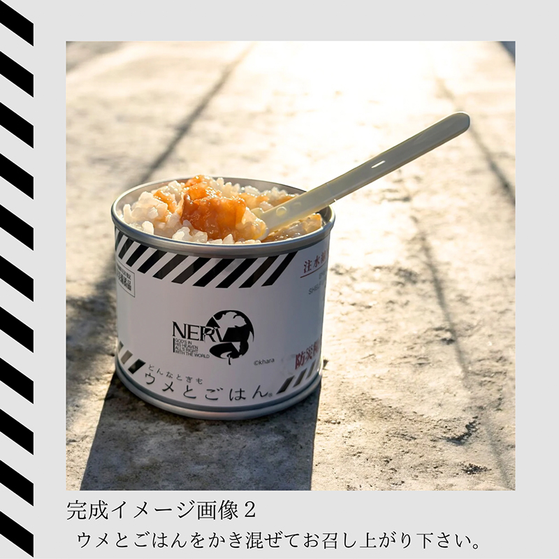 特務機関NERV指定 どんなときもウメとごはん 2個入りBOX(永岡食品)