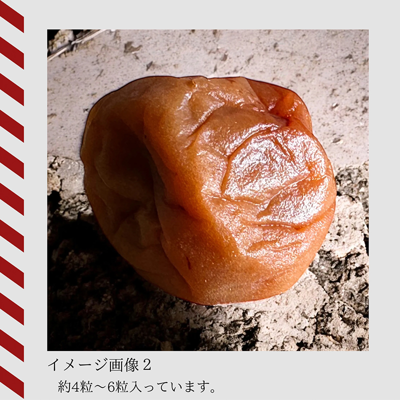 特務機関NERV指定 どんなときも99ウメボシ 6個入りBOX(永岡食品)