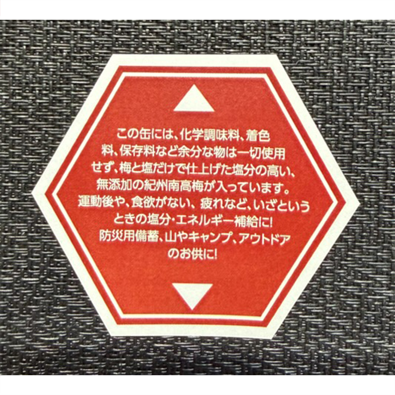 特務機関NERV指定 どんなときも99ウメボシ 6個入りBOX(永岡食品)