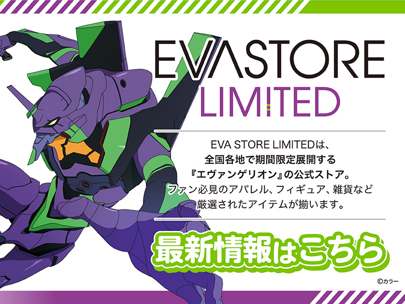 EVASTORE LIMITED