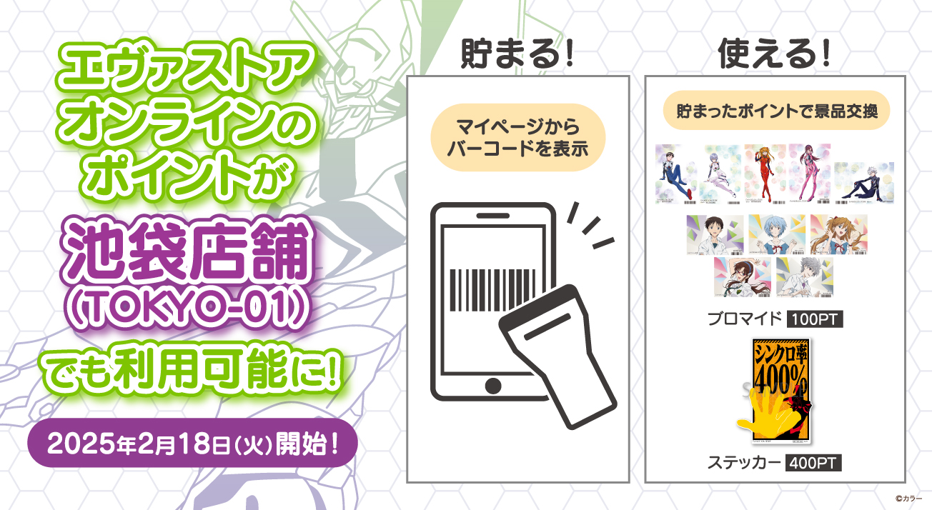 EVA STORE POINT